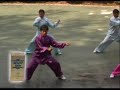 Chen Taiji Spirulina