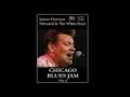 James Harman - Just Don't Mean A Thing