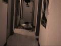 Japanese Horror test 