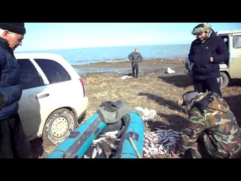резиновые лодки в геническе резиновые лодки в геническе