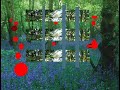 Trees Trees
