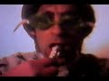 Pet Lamb - Fun With Maggots