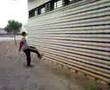wallflip frizz 360pk