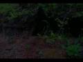 videos de Jus 1 nuddah hike