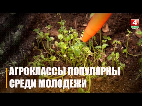 Аграрные классы на Гомельщине набирают популярность среди молодежи видео