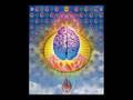 In Memory of Dr. Albert Hofmann