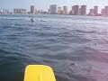 Wake board Gelete Wake board Gelete