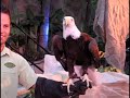 Jungala Opening Night Busch Gardens Tampa