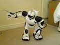 Robosapien V2