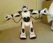 Robosapien V2