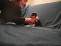 Vilda-Meduza's puppies 091107
