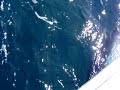 Tuna fishing August 2006 Tuna fishing August 2006