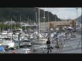 VIVEIRO