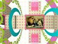 The Cutest animal baby Pictures The Cutest animal baby Pictures