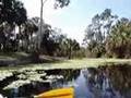 Another Swamp Trip - Winter 2008