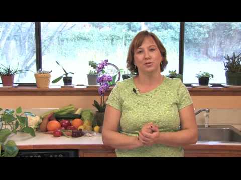 how to transplant a kousa dogwood