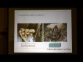 videos de Amphibian Rescue and Conservation Project Announced