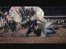PBR 2007 WORLD FINALS ON VERSUS - Brian Herman