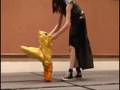 Tifa and Baby Chocobo