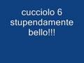 videos de tesoro ti adoro