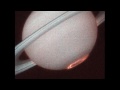 Saturn's Amazing Aurora