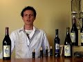Vinfusion\