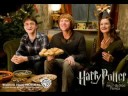 harry potter HBP gallery(new pictures)