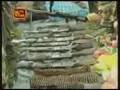 Wanni Operation 31/08/2008 - LTTE attempt to attack village