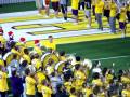 LSU IFF 11.22