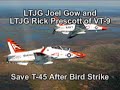 vt 9 birdstrike with pilot summary  t 45 goshawk 
