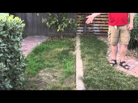 how to fertilize a lawn in the spring