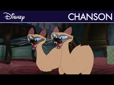 Les Aristochats Tout Le Monde Veut Devenir Un Cat Youtube Les Aristochats Tout Le Monde Veut Devenir Un Cat Youtube