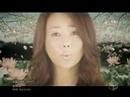 sona - はらり、ひらり