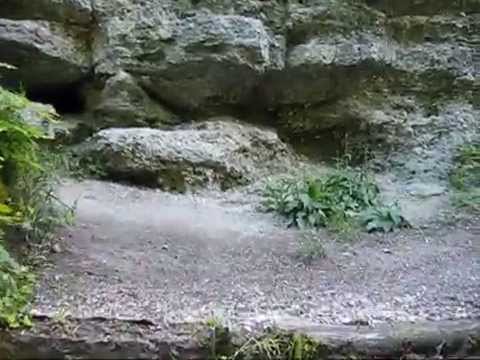 See video