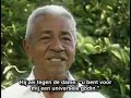 Documentaire Fantastico over de Santo Daime religie