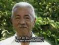 Documentaire Fantastico over de Santo Daime religie