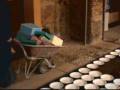 videos de Sociedad Psicogeográfica. Museo Vostell. Anatomía del muro.