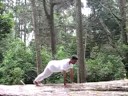 suryanamaskar by anandayoga