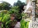 Shot of Calibishie Lodges in Dominica