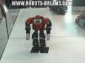 Futaba Humanoid Robot