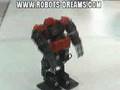 Futaba Humanoid Robot
