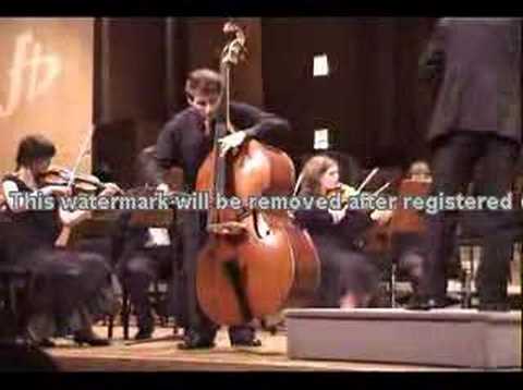 Domenico Dragonetti - Concerto for ...