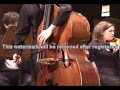 Domenico Dragonetti - Concerto for Double Bass I mvt.