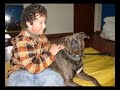 Brutus, terapia com crian�as e jovens deficientes