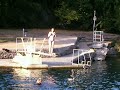 We Make Brie A Texan: Barton Springs Pool We Make Brie A Texan: Barton Springs Pool