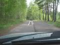 дорожная разметка