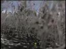 Call of Duty 4 Mission 13:All Ghillied Up Part One Call of Duty 4 Mission 13:All Ghillied Up Part One