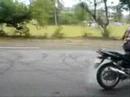 Nitin Rex: Rolling Burnout !!!