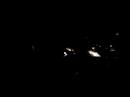 moonchild in brussels