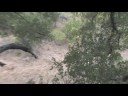 EWT Hog Hunt, Hog Kill 2